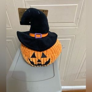 Brand New Giftable Halloween Punkin With Hat And Squeaker.